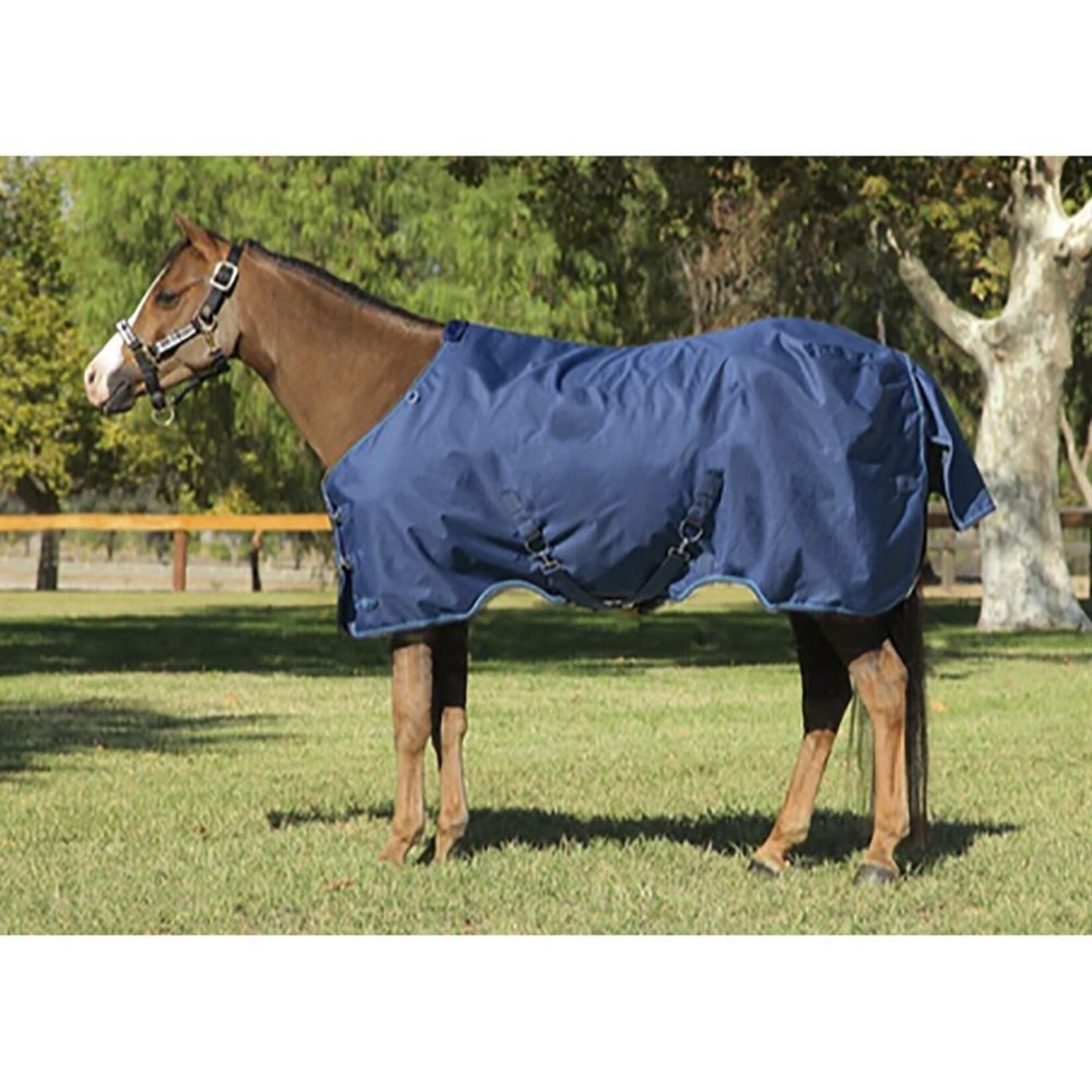 Kensington Surefit 180g Pony Blanket