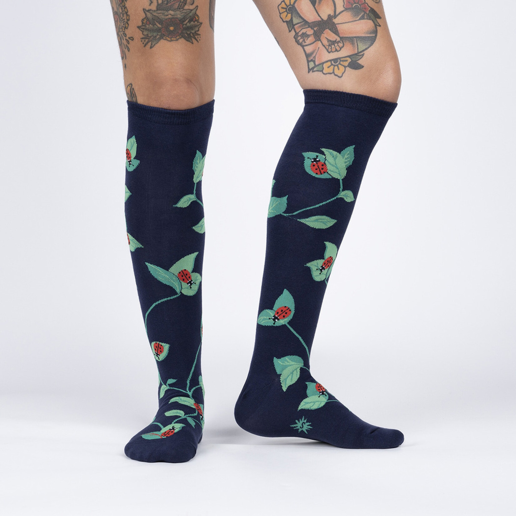 Sock It To Me Ladies' Knee High Socks