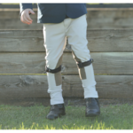 Jodhpurs