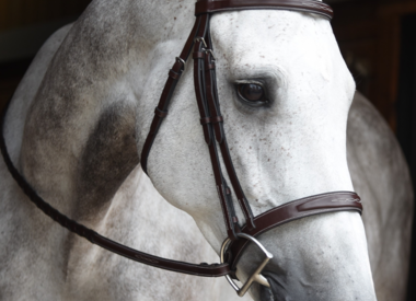 Bridles & Parts