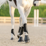 Horse Boots & Wraps