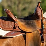 Saddle Pads