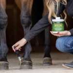 Hoof Care
