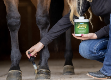 Hoof Care