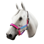 Horse Fare Horse Fare Nylon Halter