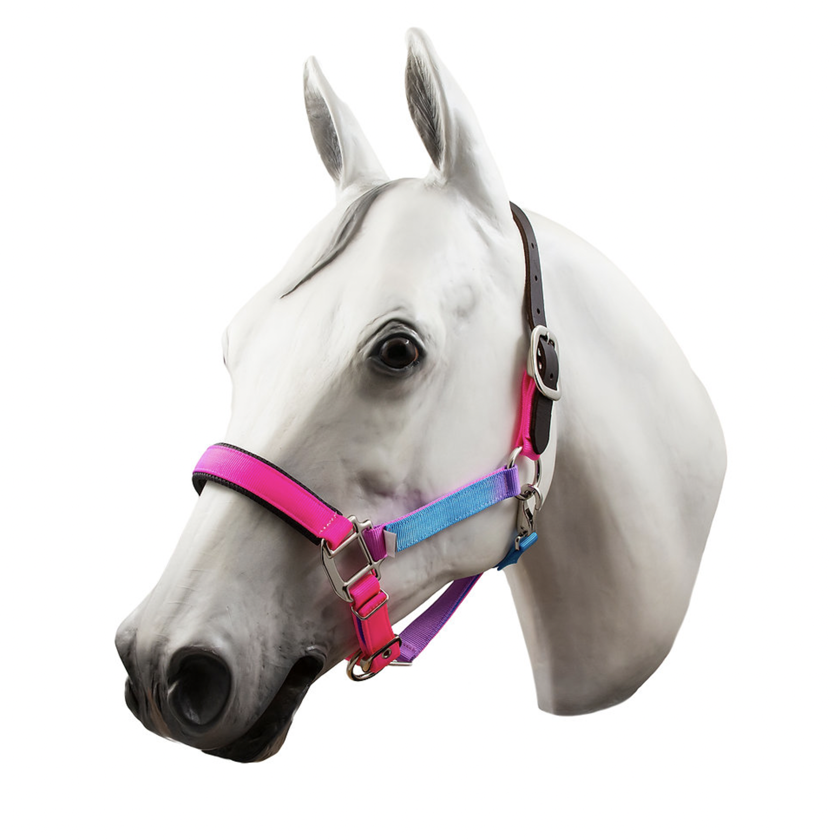 Horse Fare Horse Fare Cool Tones Nylon Halter
