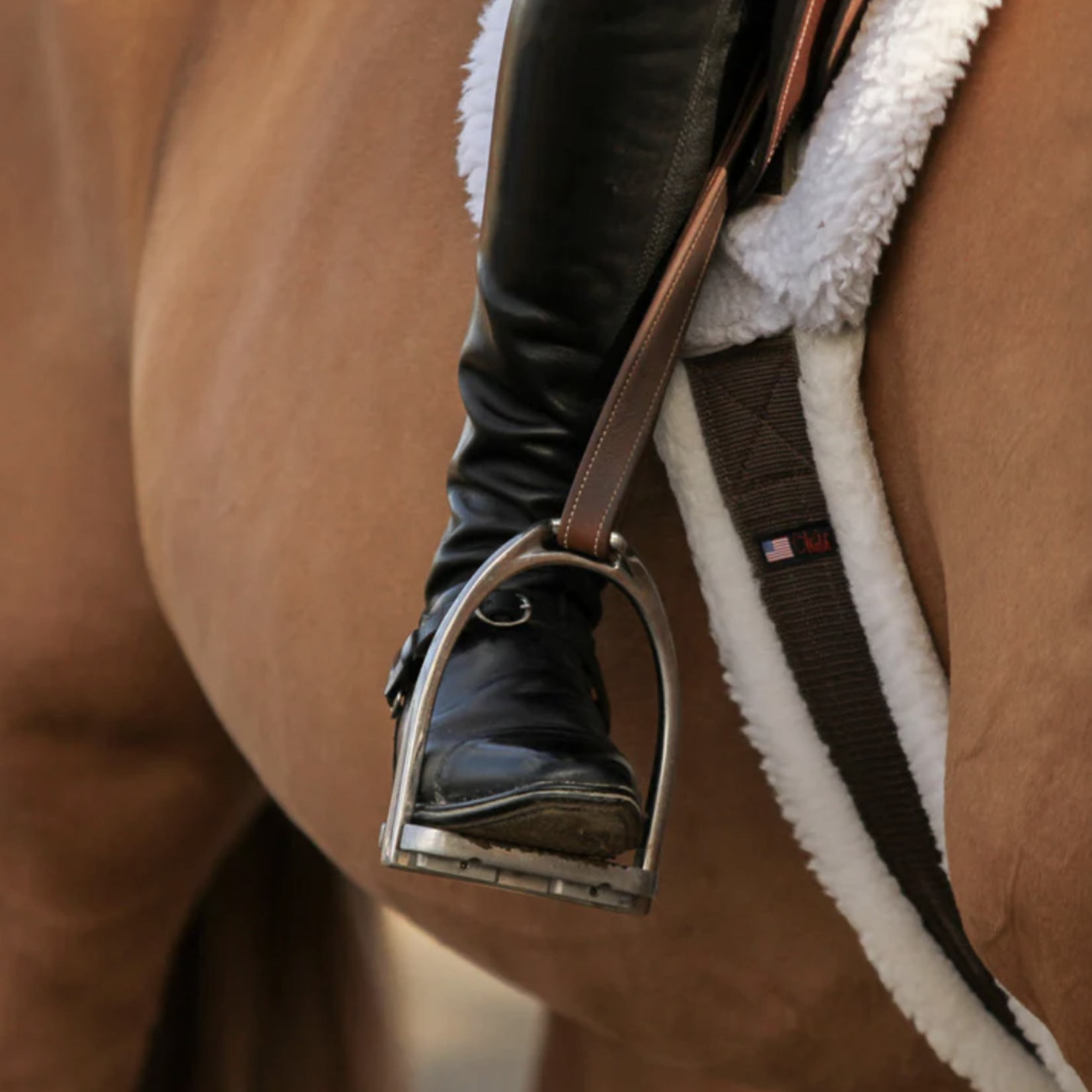 Walsh Fleece Lined Nylon Girth