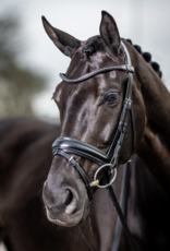 Lemieux LeMieux Classic Bridle