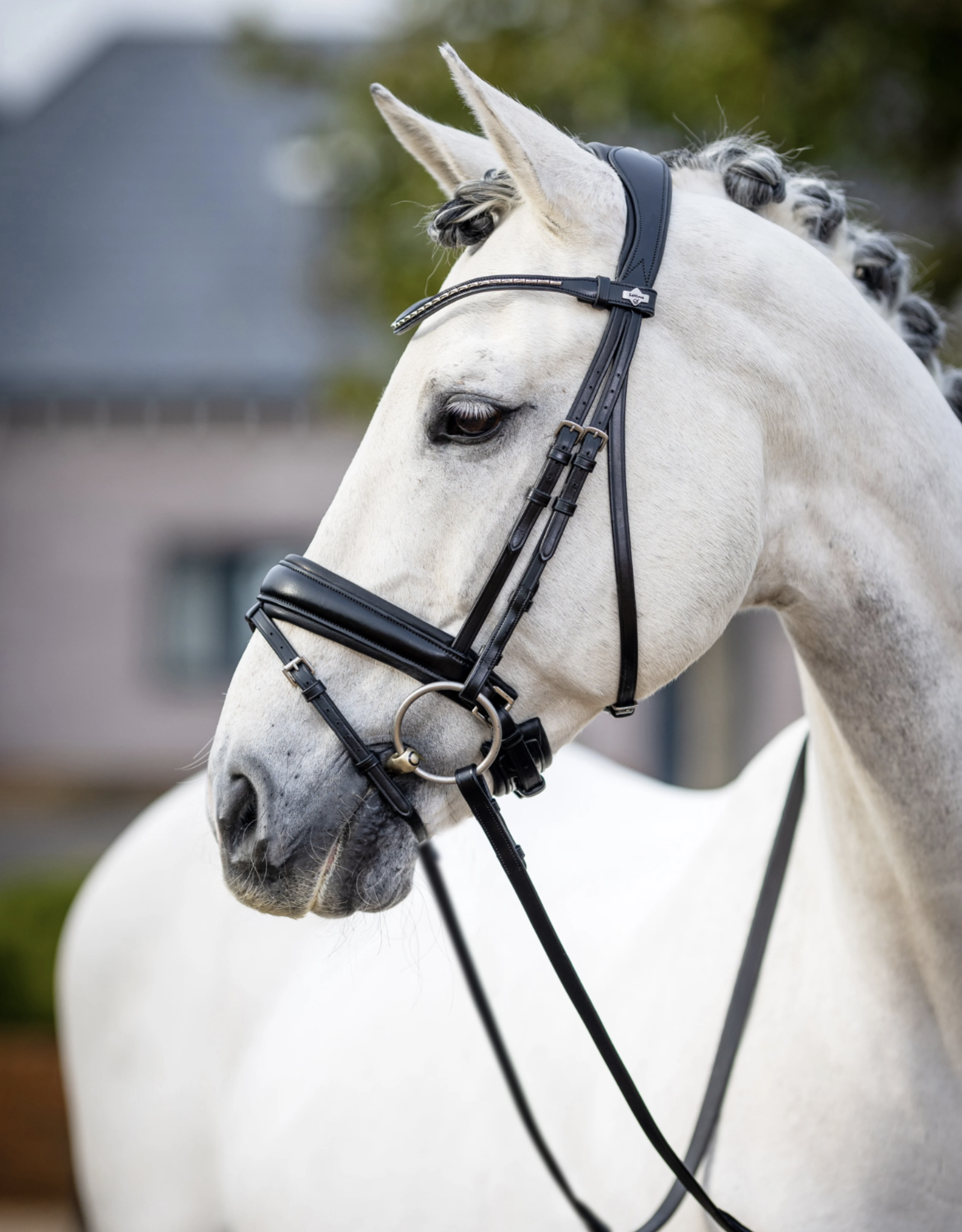 Calabasas Saddlery - LeMieux Memory Foam Bandage Pad Quilt - Calabasas  Saddlery