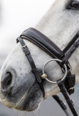 Lemieux LeMieux Classic Bridle