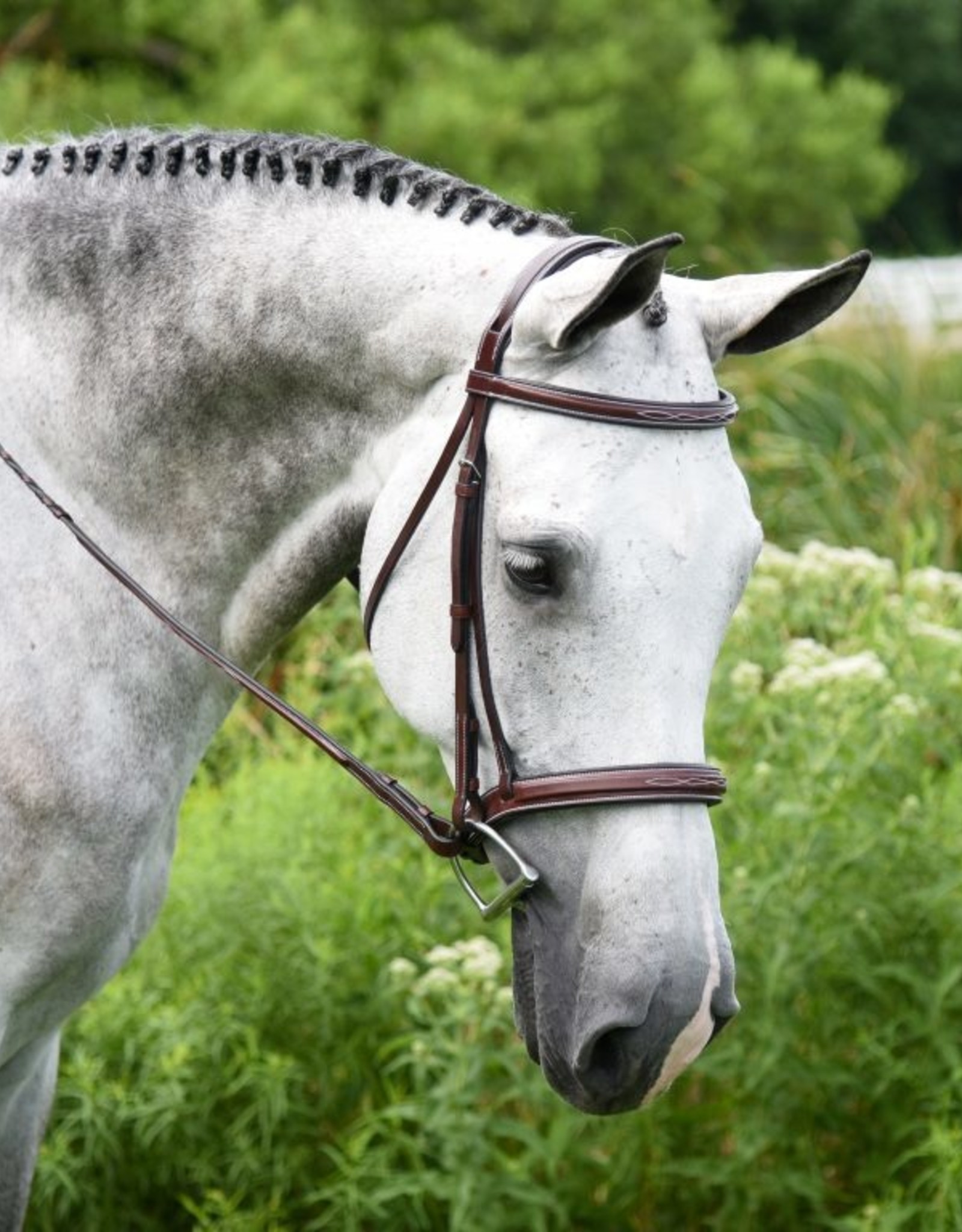 KL Select Italia Middleburg Bridle