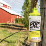 Fly Traps