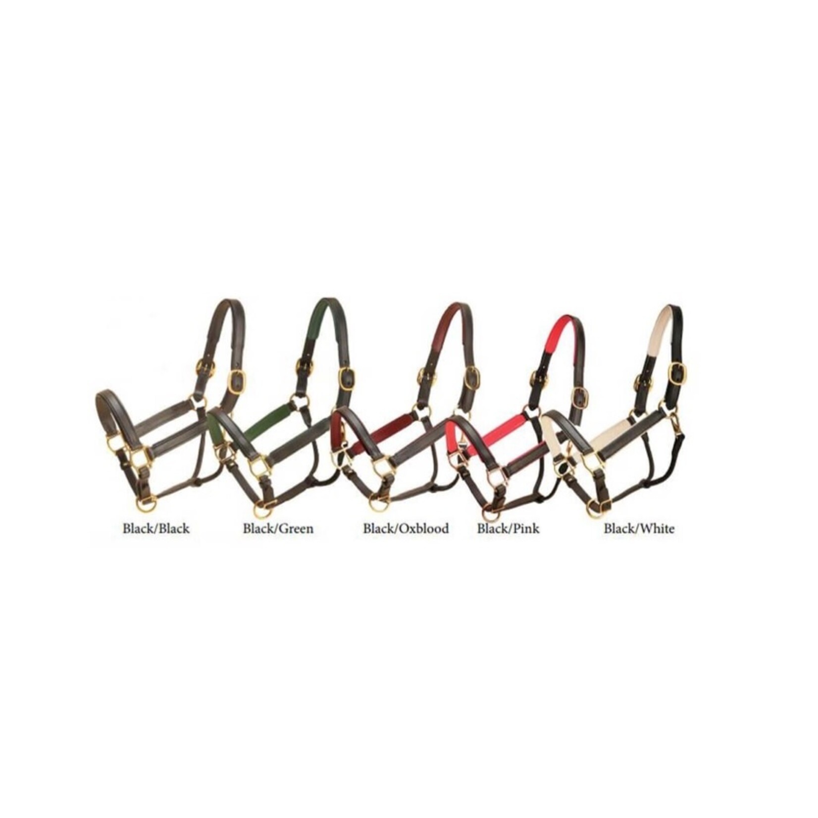 Tory Padded Leather Halter