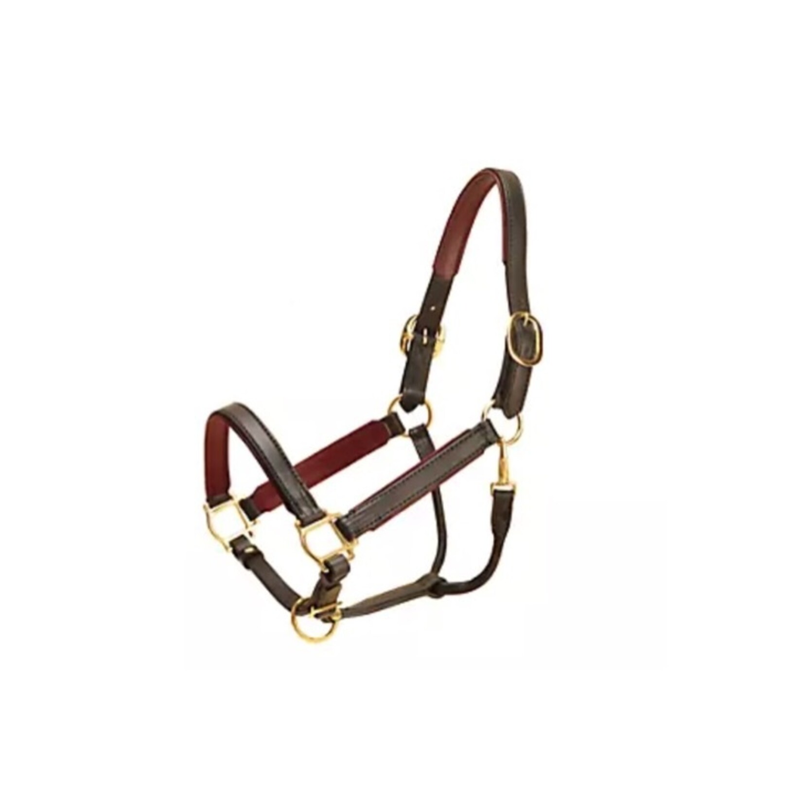 Tory Padded Leather Halter