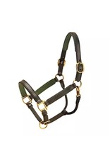 Tory Padded Leather Halter