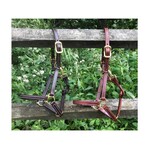 Beval Beval Showman Halter