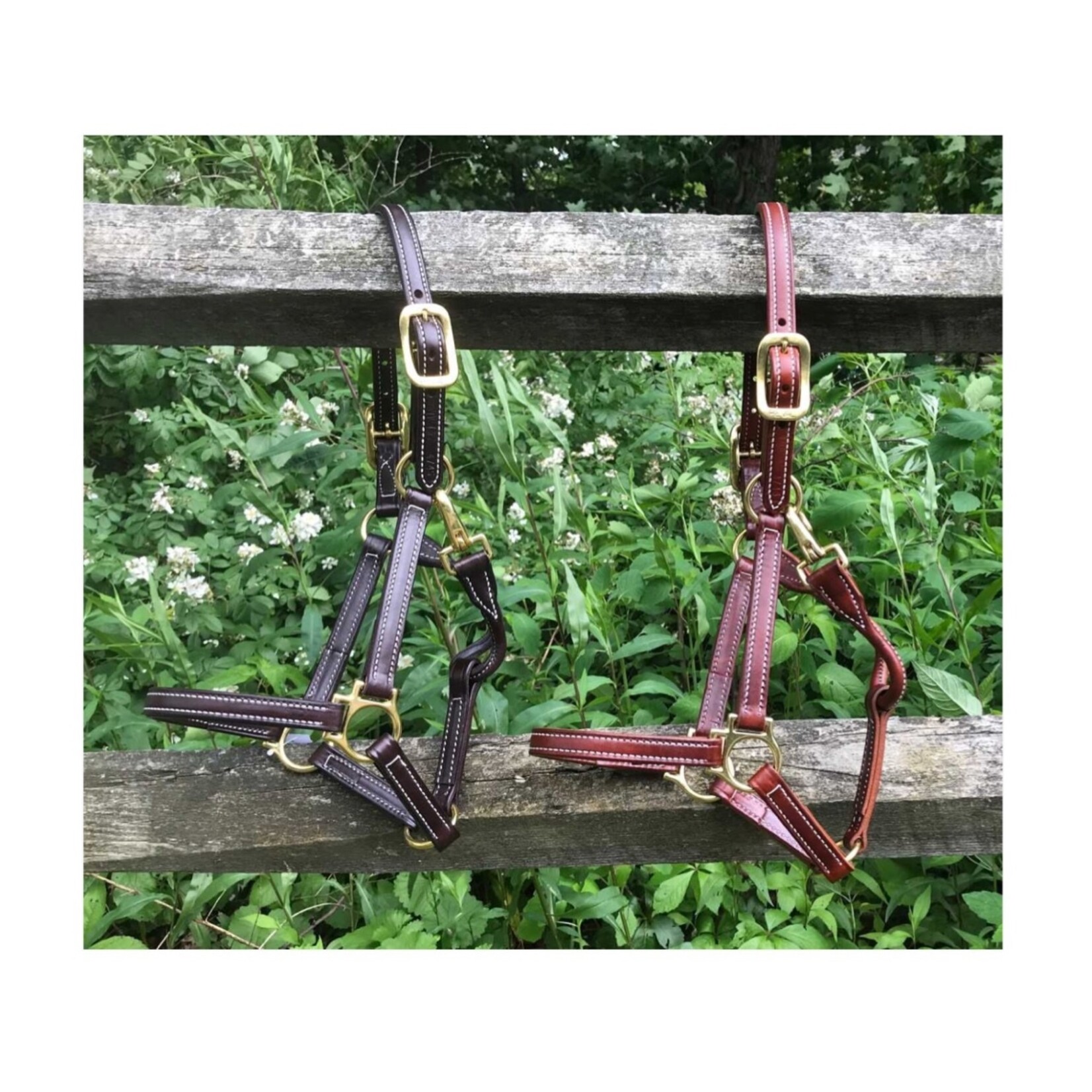 Beval Beval Showman Leather Halter