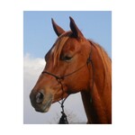 Double Diamond Rope Halter