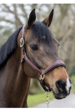 Lemieux LeMieux Stitched Leather Halter