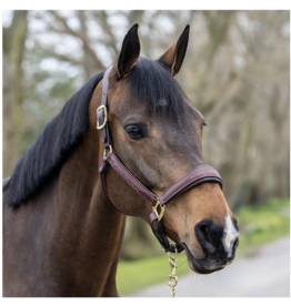 DD Buck Brannaman 124 Rope Halter- Western Rope Halters