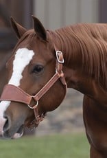 Perri's Leather Ranch Halter