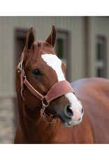 Perri's Leather Ranch Halter