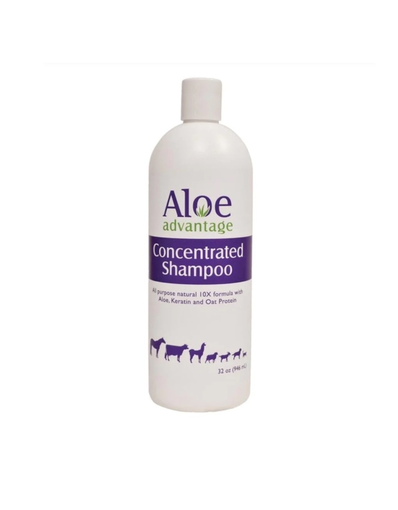 Aloe Advantage Concentrated Shampoo - Qt