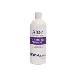 Aloe Advantage Concentrated Shampoo