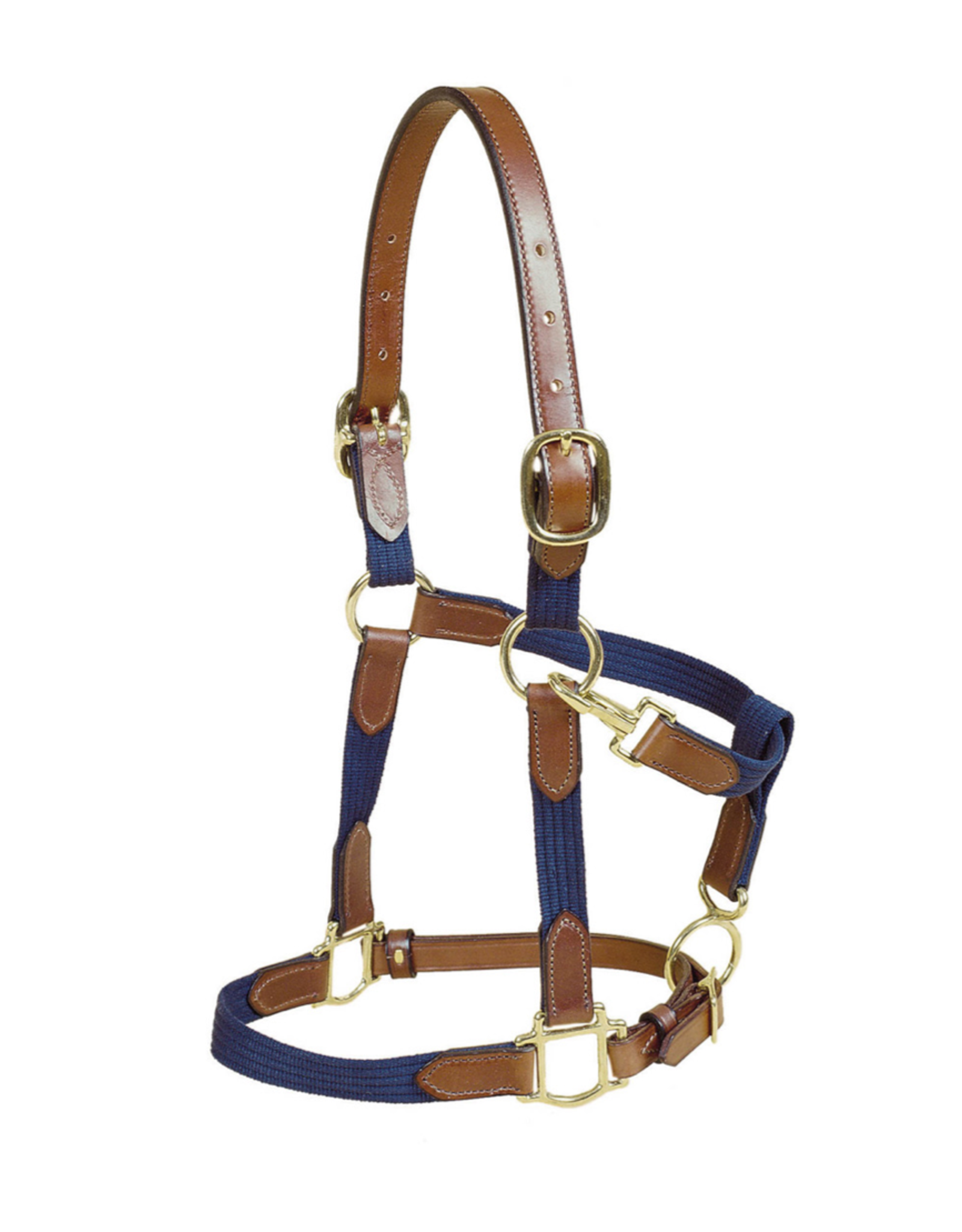 Tory Cotton Web with Leather Halter