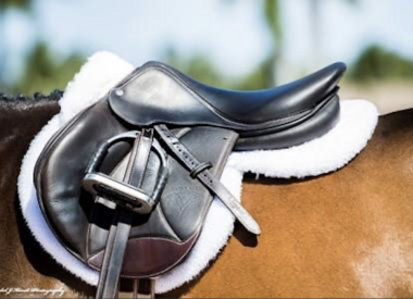 Calabasas Saddlery - Kensington Elastic Leg Straps - Pair - Calabasas  Saddlery