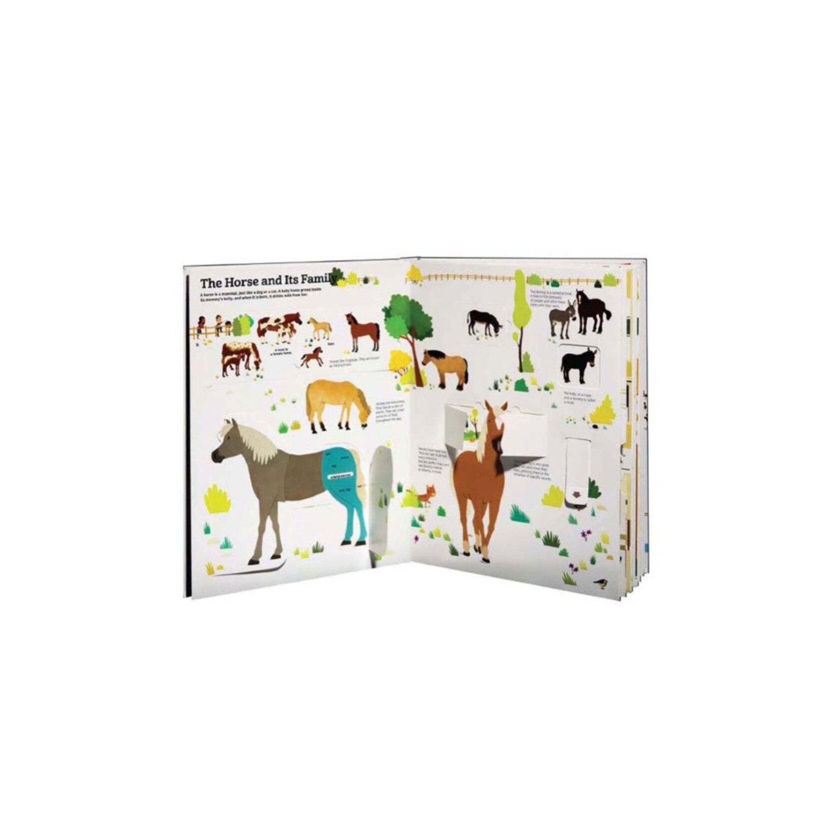 Ultimate Book of Horses