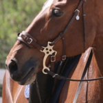 Hackamores & Combination Bits