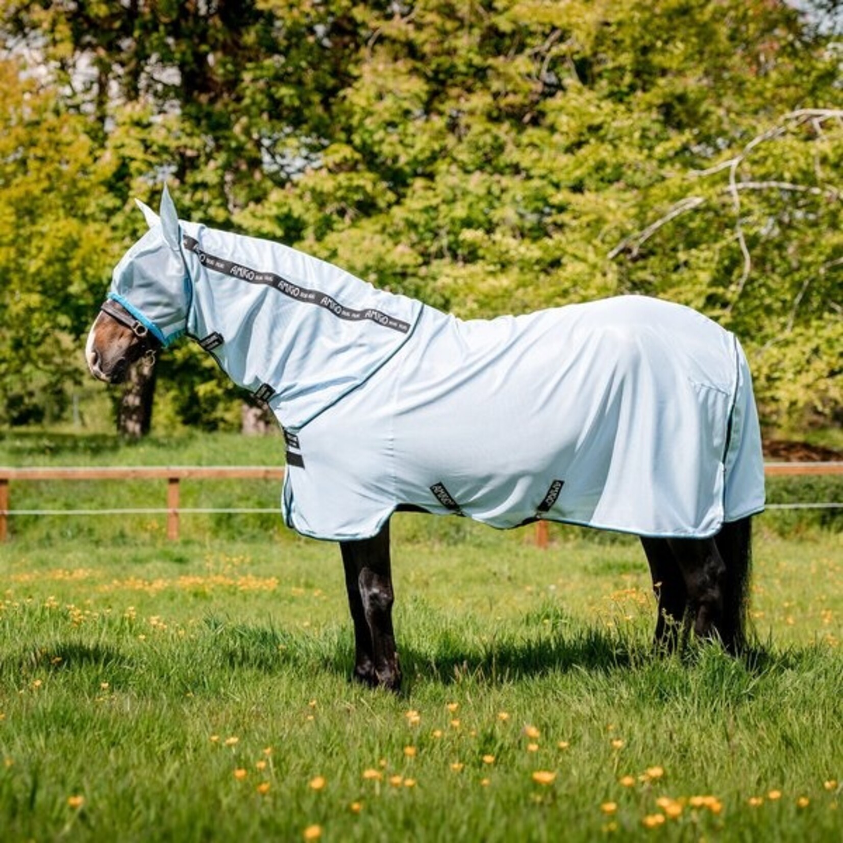 Amigo Bug Rug with Detachable Neck Fly Sheet