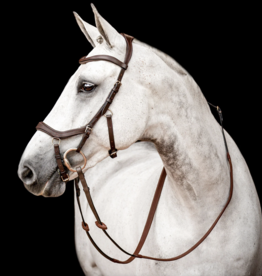 Calabasas Saddlery - Home - Calabasas Saddlery