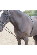 Shires Shires Soft Lunging Aid