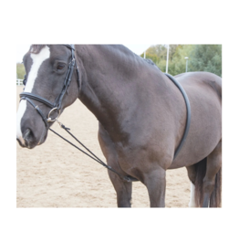 Shires Shires Soft Lunging Aid