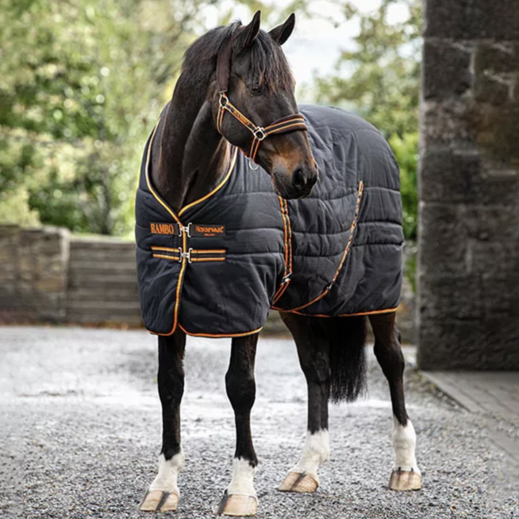 Rambo Stable Blanket
