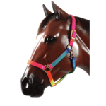 Valhoma Valhoma Rainbow Halter