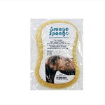 Grunge Sponge