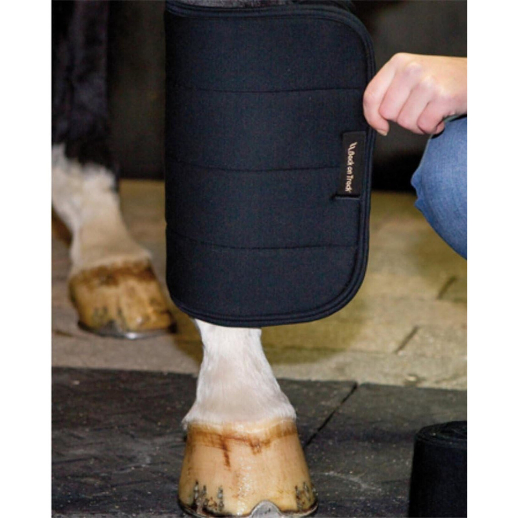 Back On Track No Bow Quilts