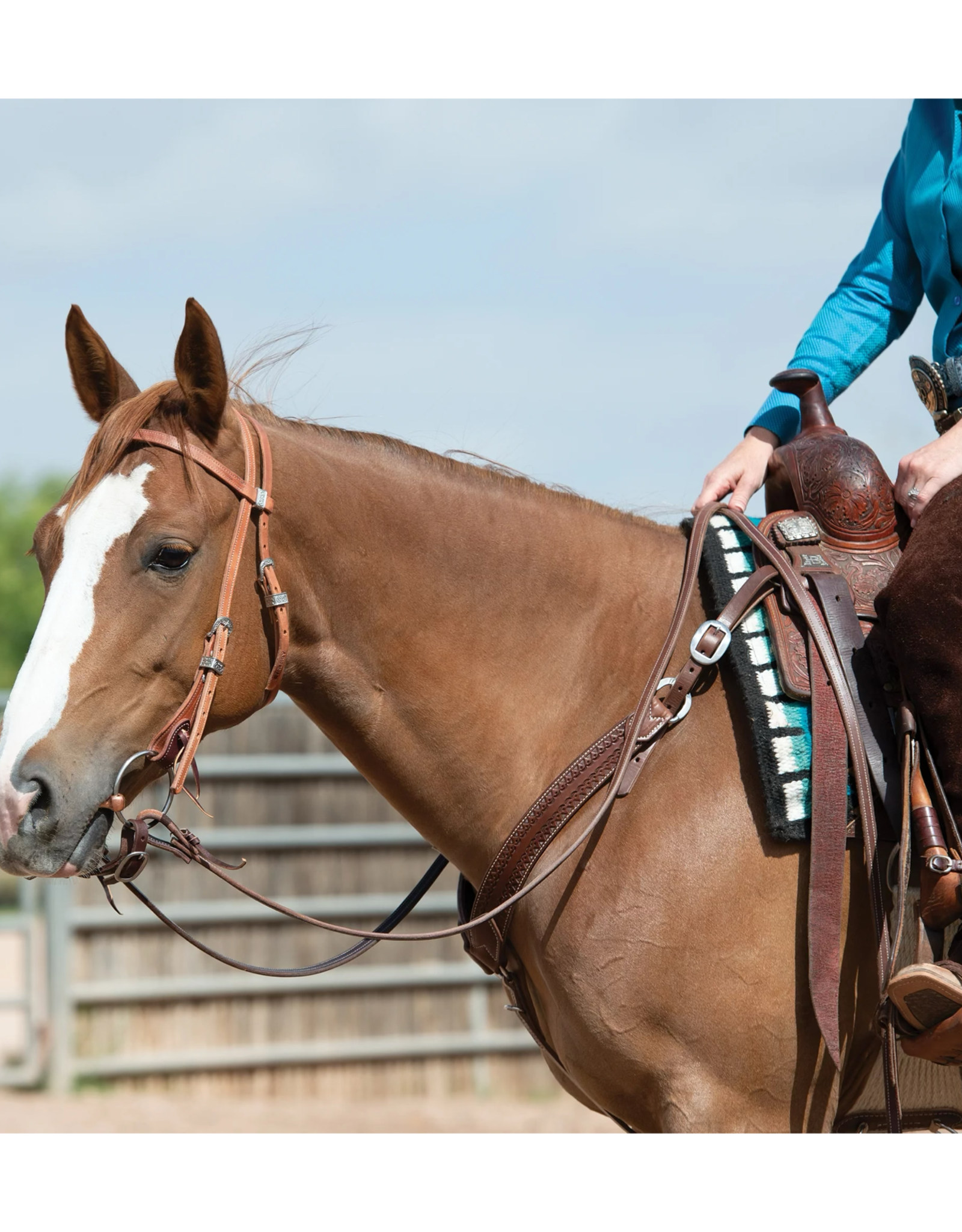 Weaver Synergy Latigo Lined Performance Headstall