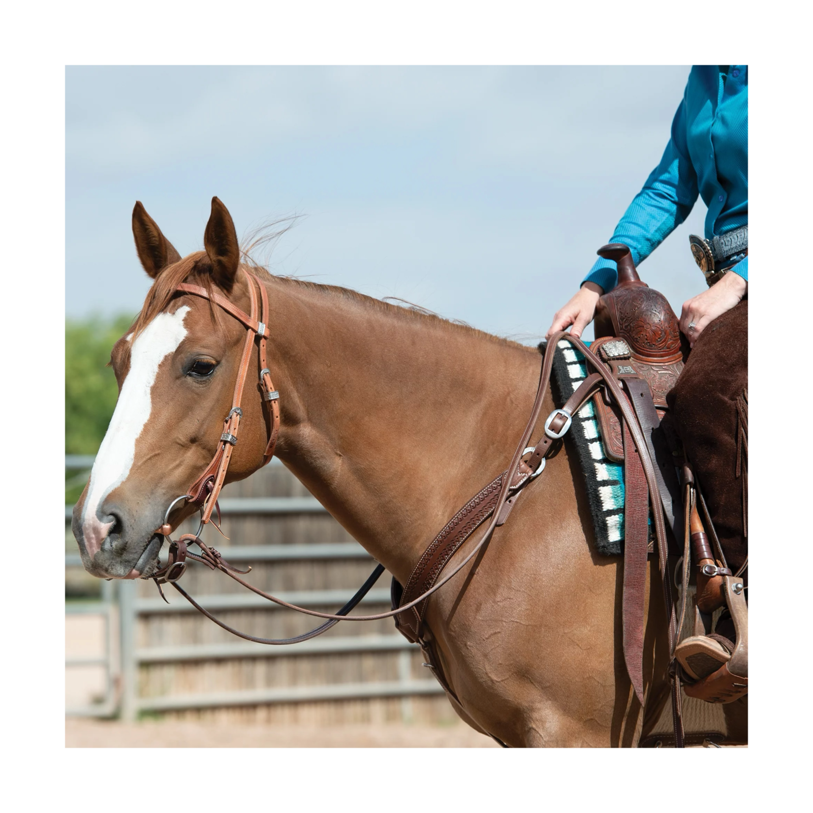 Weaver Synergy Latigo Lined Performance Headstall