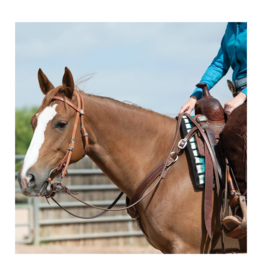 Weaver Synergy Performance Headstall