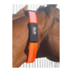 Equestrisafe Equestrisafe Multi Purpose Collar