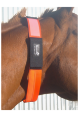 Equestrisafe Equestrisafe Multi Purpose Reflective ID Collar