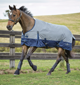 Saxon Saxon 180g Turnout Blanket