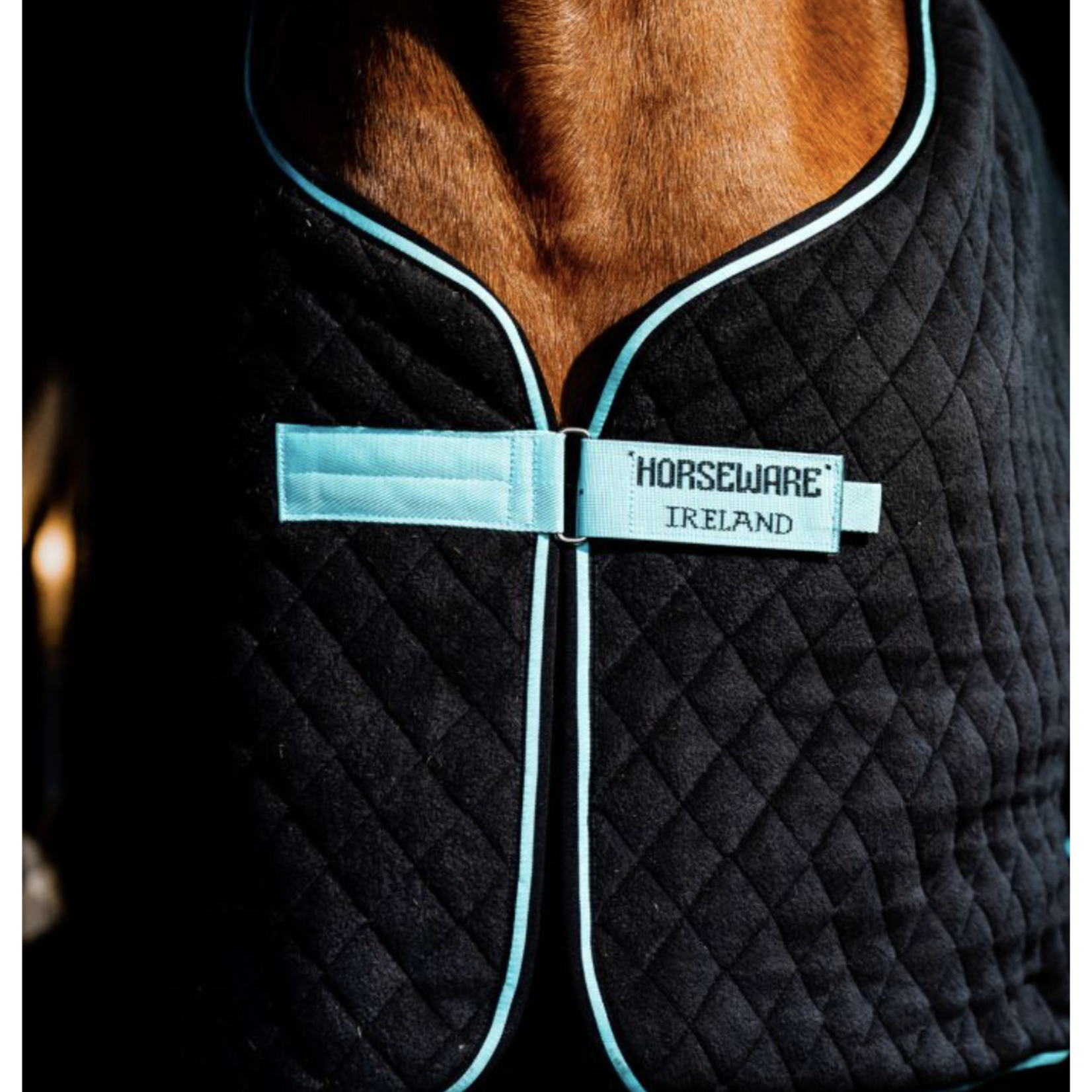 Horseware Autumn Cooler