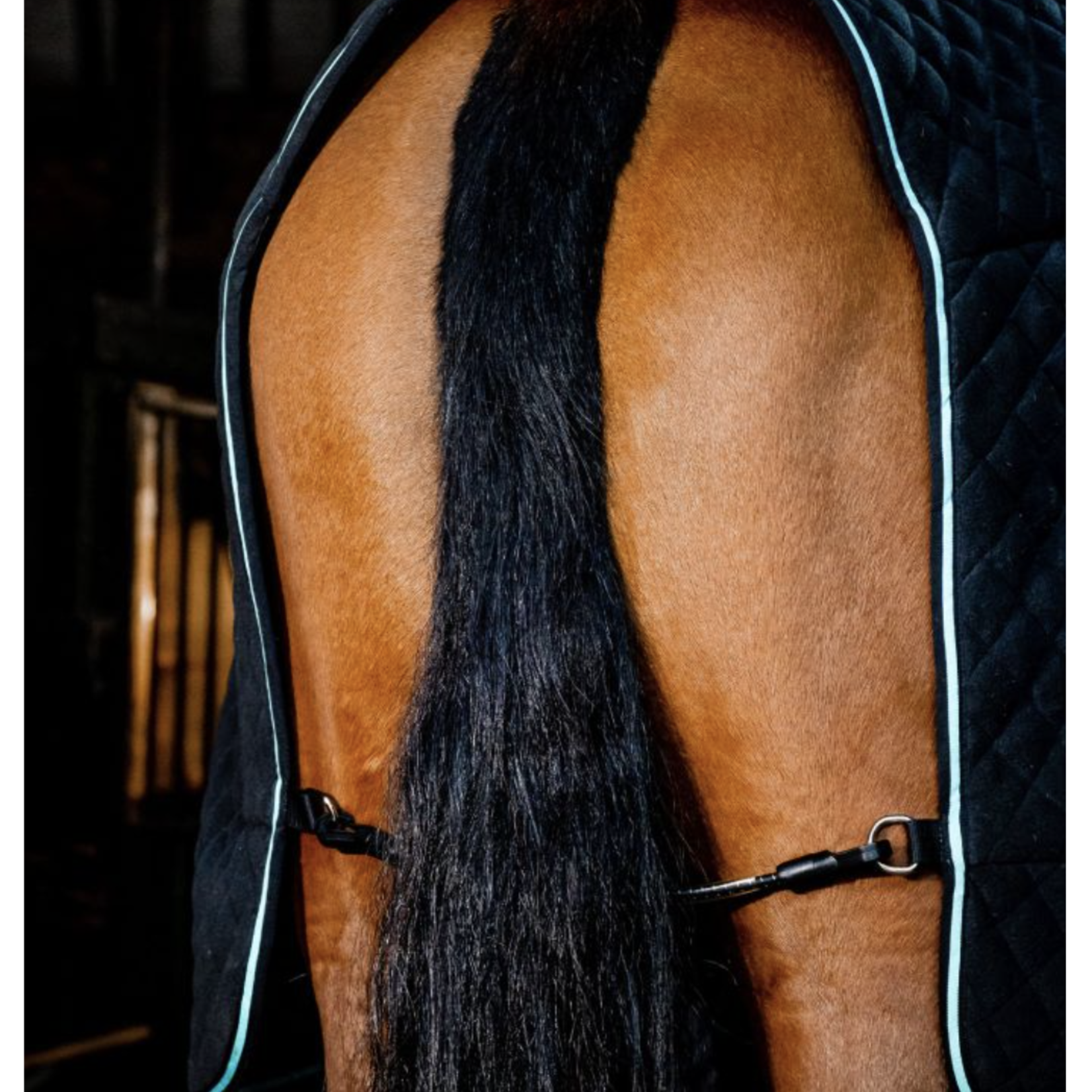 Horseware Autumn Cooler