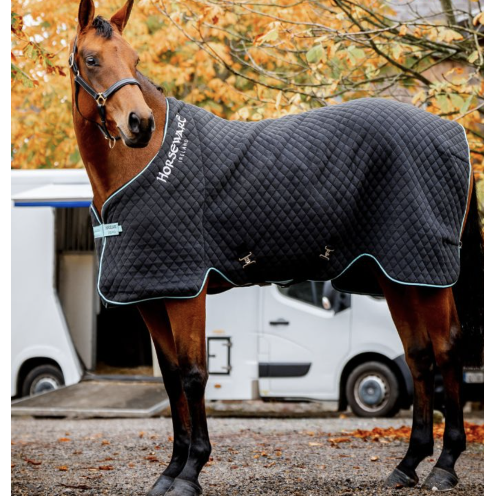 Horseware Autumn Cooler