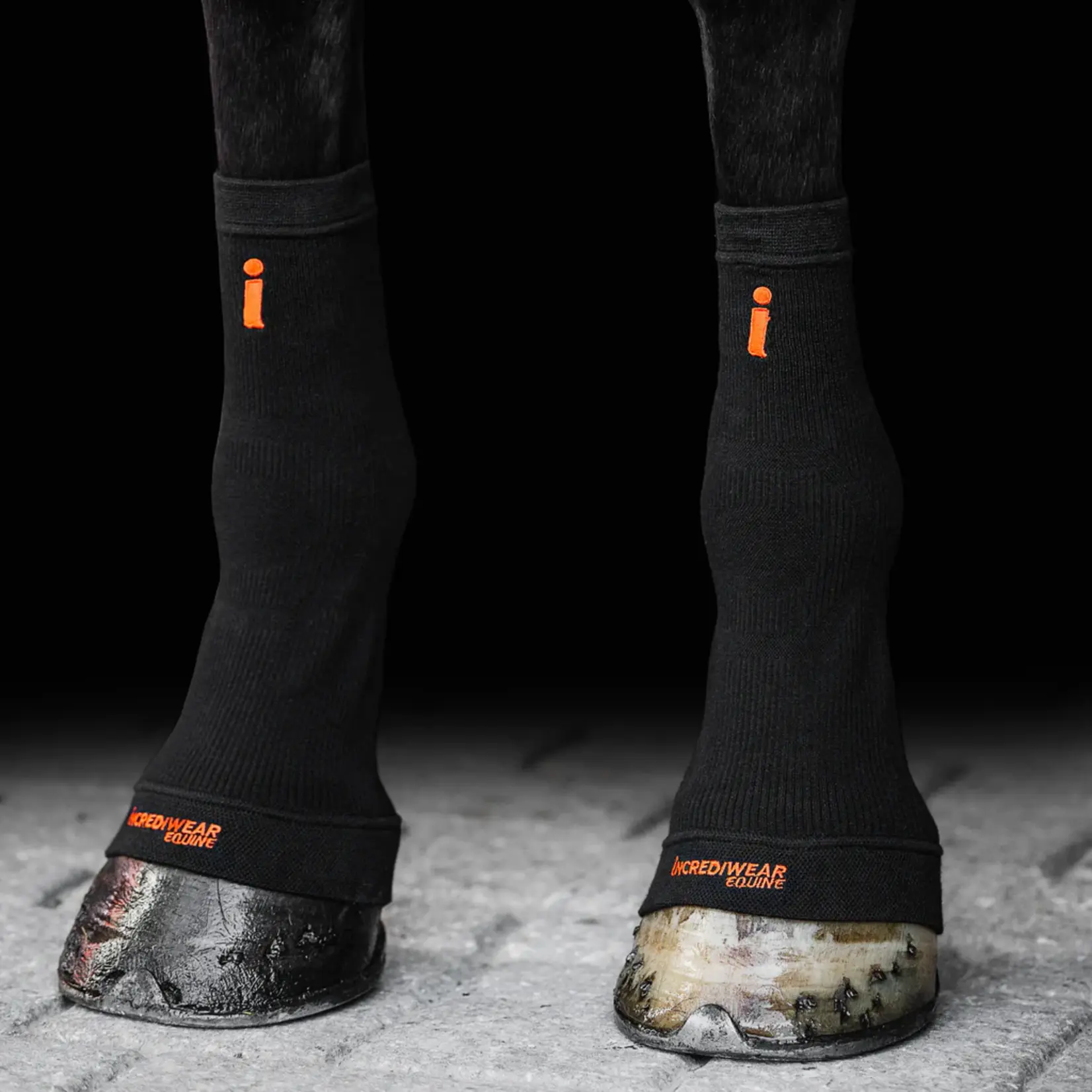Incrediwear Equine Incrediwear Circulation Hoof Socks - Black